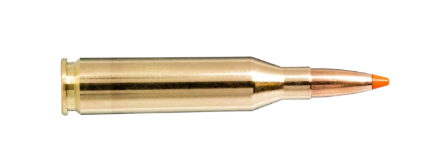 NORMA 243 WIN 76G TIPSTRIKE