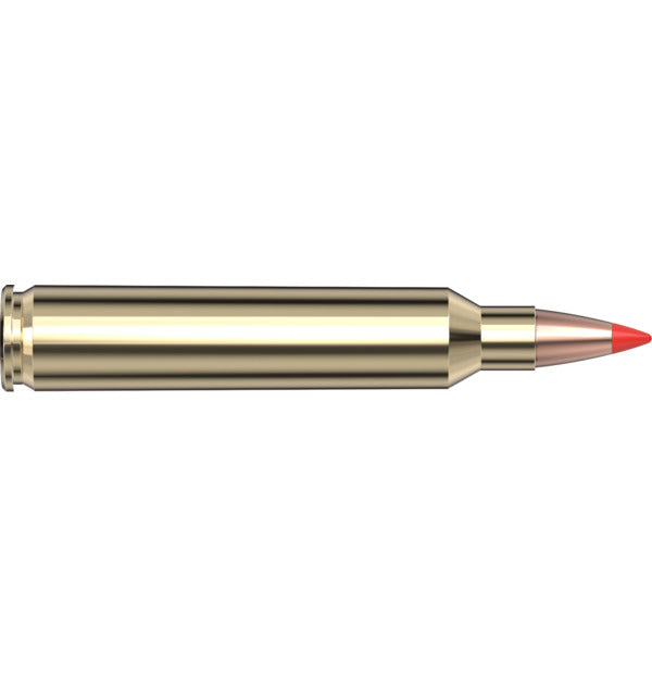 HORNADY 204 RUGER 40 GR V-MAX VARMINT