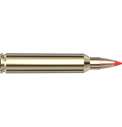 HORNADY 204 RUGER 40 GR V-MAX VARMINT