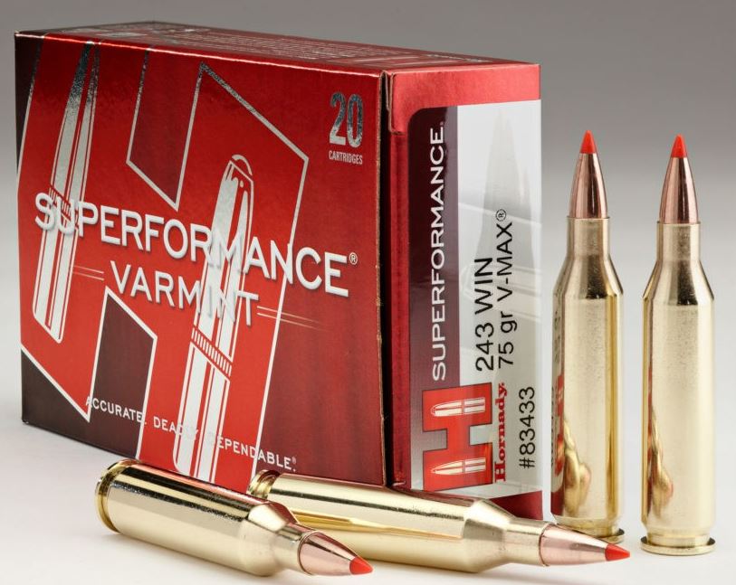 HORNADY 243 75GR VMAX SPF