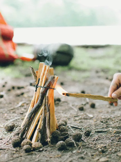 LIGHT MY FIRE TINDER STICKS