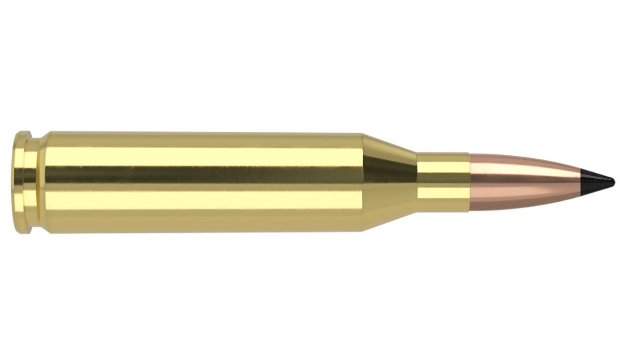 NOSLER .243 WIN. 70 GRAIN VG FBT VARMAGEDDON