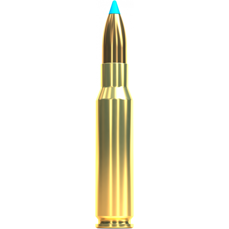 SELLIER & BELLOT 308 LEAD FREE 165GR TXRG